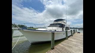 Ocean Alexander 50 Video